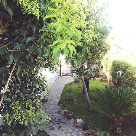 Domus Afrodite Дом отдыха *